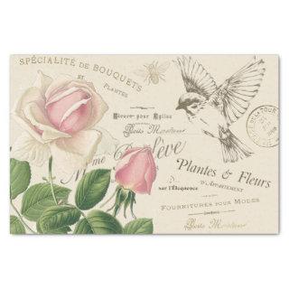 Vintage French Pink Rose Bird Bee Collage Tissue Paper