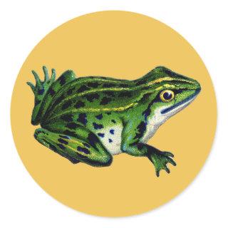 Vintage Frog Illustration Stickers