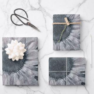Vintage Giant Sunflower Black And White Texture  Sheets