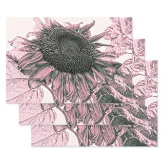 Vintage Giant Sunflower Blush Pink Decoupage Art  Sheets