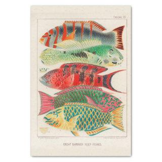 Vintage Great Barrier Reef of Australia Fishes Tissue Paper