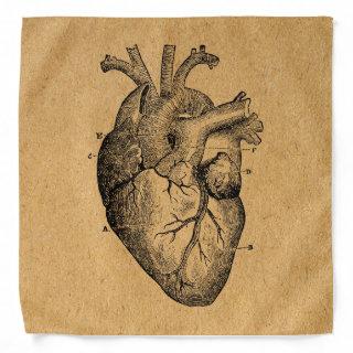 Vintage Heart Diagram Illustration Vintage Art Bandana