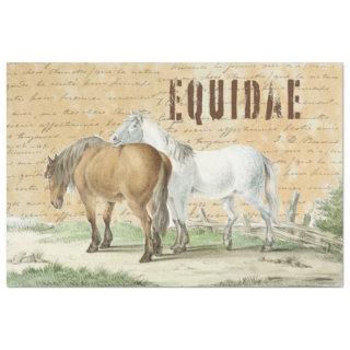 Vintage Horses in Pasture Country Tissue Paper