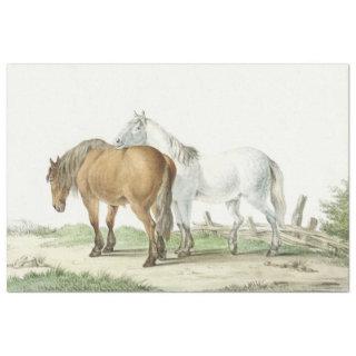 Vintage Horses in Pasture Country Tissue Paper