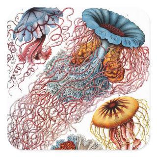 Vintage Jellyfish by Ernst Haeckel, Discomedusae Square Sticker