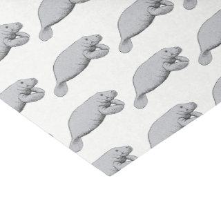 Vintage Manatee Drawing Tissue Paper