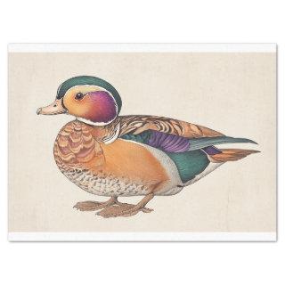 Vintage Mandarin Duck Ornithology Decoupage Print Tissue Paper