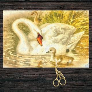Vintage Mother Swan Baby Cygnet Watercolor Look Tissue Paper