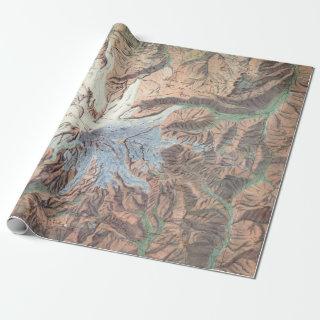 Vintage Mount Rainier Topographical Map Washington