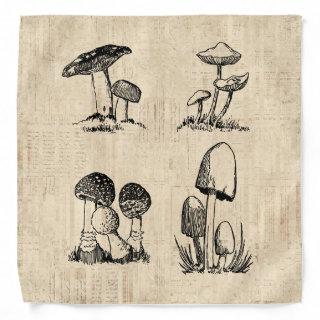 Vintage Mushroom Art Illustration Bandana