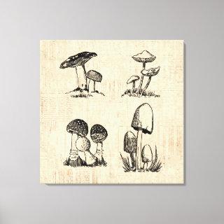 Vintage Mushroom Art Illustration Canvas Print