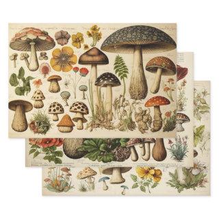 Vintage Mushroom Cottagecore  Sheets