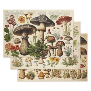 Vintage Mushroom Cottagecore  Sheets