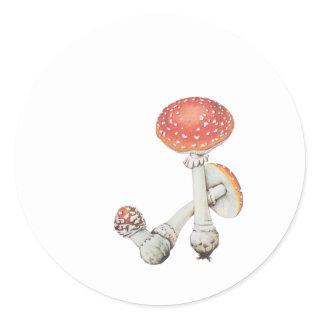 Vintage Mushroom Kitchen - Science Botanicals - Classic Round Sticker
