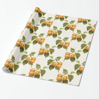 Vintage Orange Apricots Watercolor Pattern