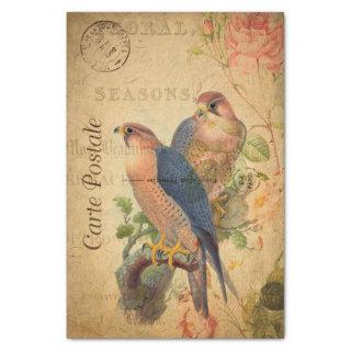 Vintage Pair of Peregrine Falcons Birds French Tissue Paper