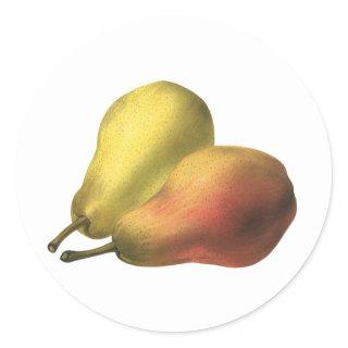 Vintage Pears, Organic Foods, Ripe Fruit Classic Round Sticker