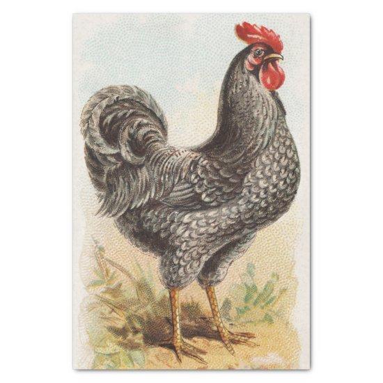 Vintage Plymouth Rock Chicken Decoupage Tissue Paper