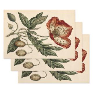 Vintage Poppy Illustration Furniture Decoupage  Sheets