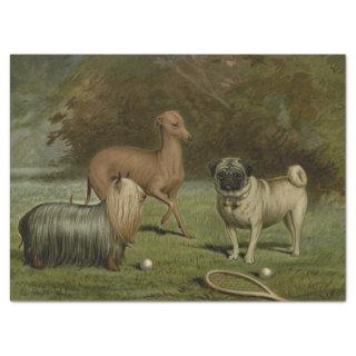 Vintage Pug, Italian Greyhound, Yorkshire Terrier Tissue Paper
