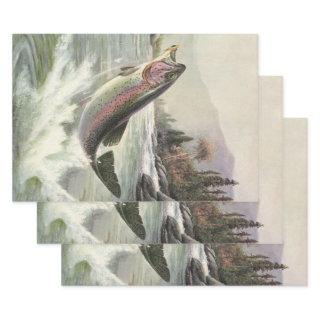 Vintage Rainbow Trout Fisherman Fishing for Fish  Sheets