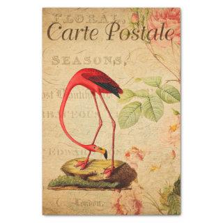 Vintage Red flamingo Floral French Carte Postale Tissue Paper