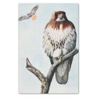 Vintage redtail hawk watercolor tissue paper
