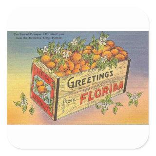 Vintage Retro Florida Oranges Square Sticker