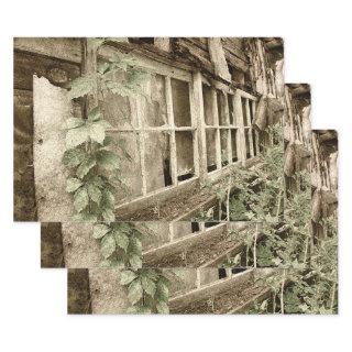 Vintage Rustic Old Wood Barn Windows  Sheets