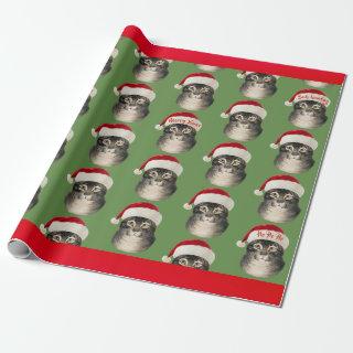 Vintage Santa Hat Cat Art