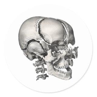 Vintage Science Human Anatomy, Antique Skull Classic Round Sticker