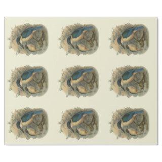 Vintage Science NZ Birds - Kingfishers