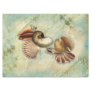 Vintage Seashells Decoupage Tissue Paper