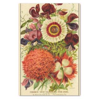 Vintage Seed Catalog Burpee New Flowers 1887 Tissue Paper