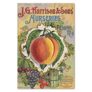 Vintage Seed Catalog Harrison & Sons Nurseries Tissue Paper