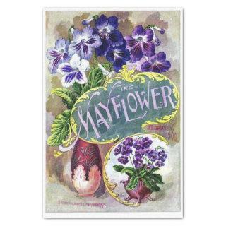 Vintage Seed Catalog, The Mayflower Tissue Paper