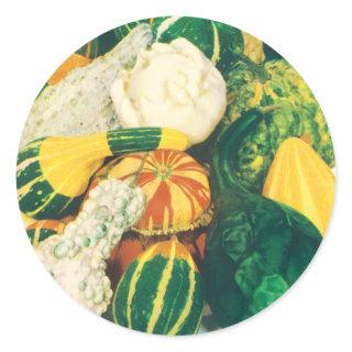 Vintage Seed Packet Art, Mixed Gourds Squash Classic Round Sticker