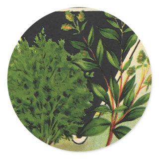 Vintage Seed Packet Label Art Sweet Marjoram Herbs
