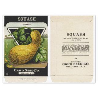 Vintage Seed Packet Summer Squash and Instructions Tissue Paper