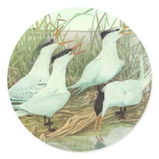 Vintage Shorebirds in a Marsh by Louis Fuertes Classic Round Sticker