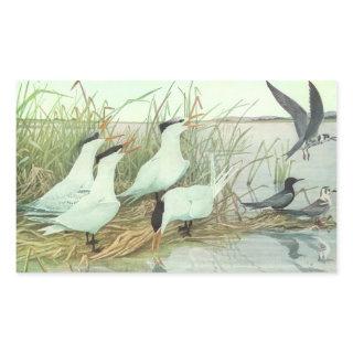 Vintage Shorebirds in a Marsh by Louis Fuertes Rectangular Sticker