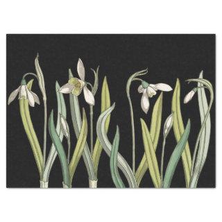 Vintage Snowdrop Flower Black Spring Tissue Paper