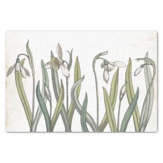 Vintage Snowdrop Flower Pale Parchment Spring  Tissue Paper