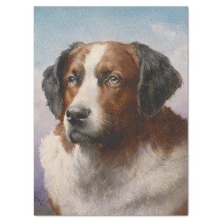 Vintage St. Bernhard Dog Portrait Tissue Paper