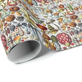 Vintage Stylized Mushrooms Fungi DIY Color BG