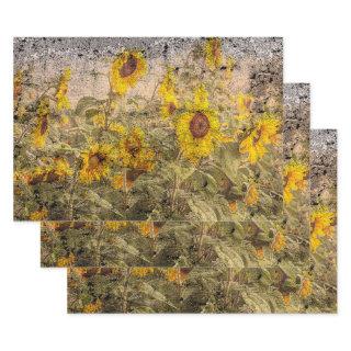 Vintage Sunflower Field Yellow Grunge Texture  Sheets
