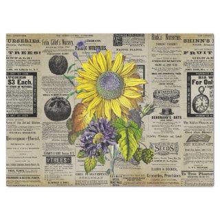 Vintage Sunflower Horticulture Ads Ephemera  Tissue Paper