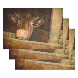 Vintage Texture Cow In Barn Rustic Country Funny  Sheets