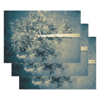 Vintage Texture Forest Tree Against Gray Sky  Sheets