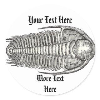 Vintage Trilobite Sticker